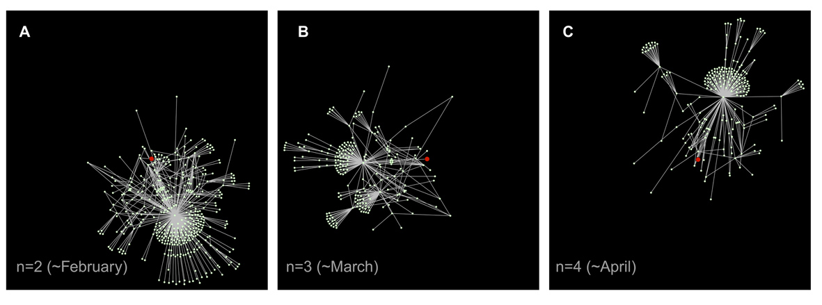 The subgraphs are obtained by showing all nodes within distance 3 from a selected node (in red in the figure), for consecutive monthly snapshots. The visualization highlights how the neighborhood of a given node may strongly change its structure in time. 